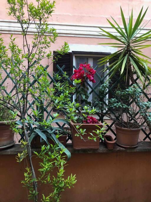Centro Storico Appartamento Con Terrazza ローマ エクステリア 写真